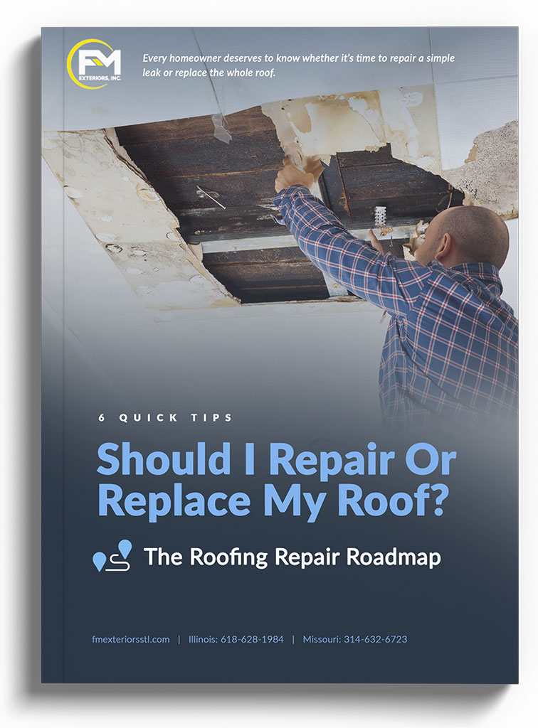 FM-_-Repair-Roadmap