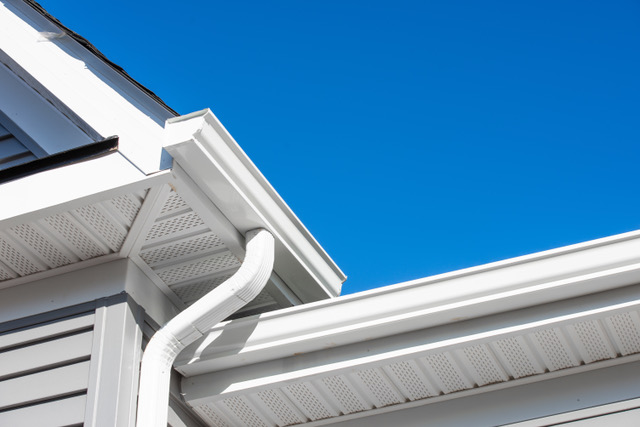 Gutter pic web